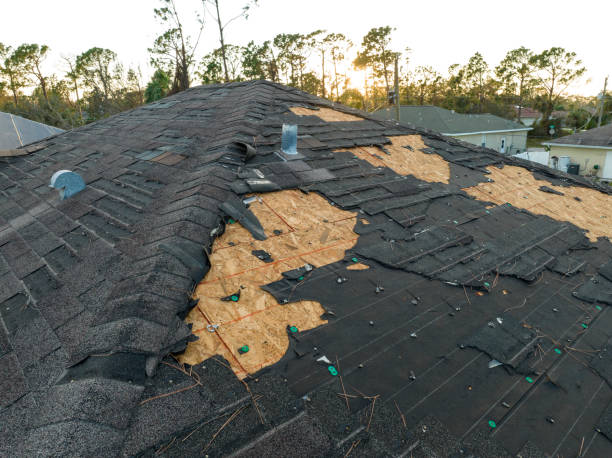 Best Asphalt Shingles Roofing  in Norfolk, VA